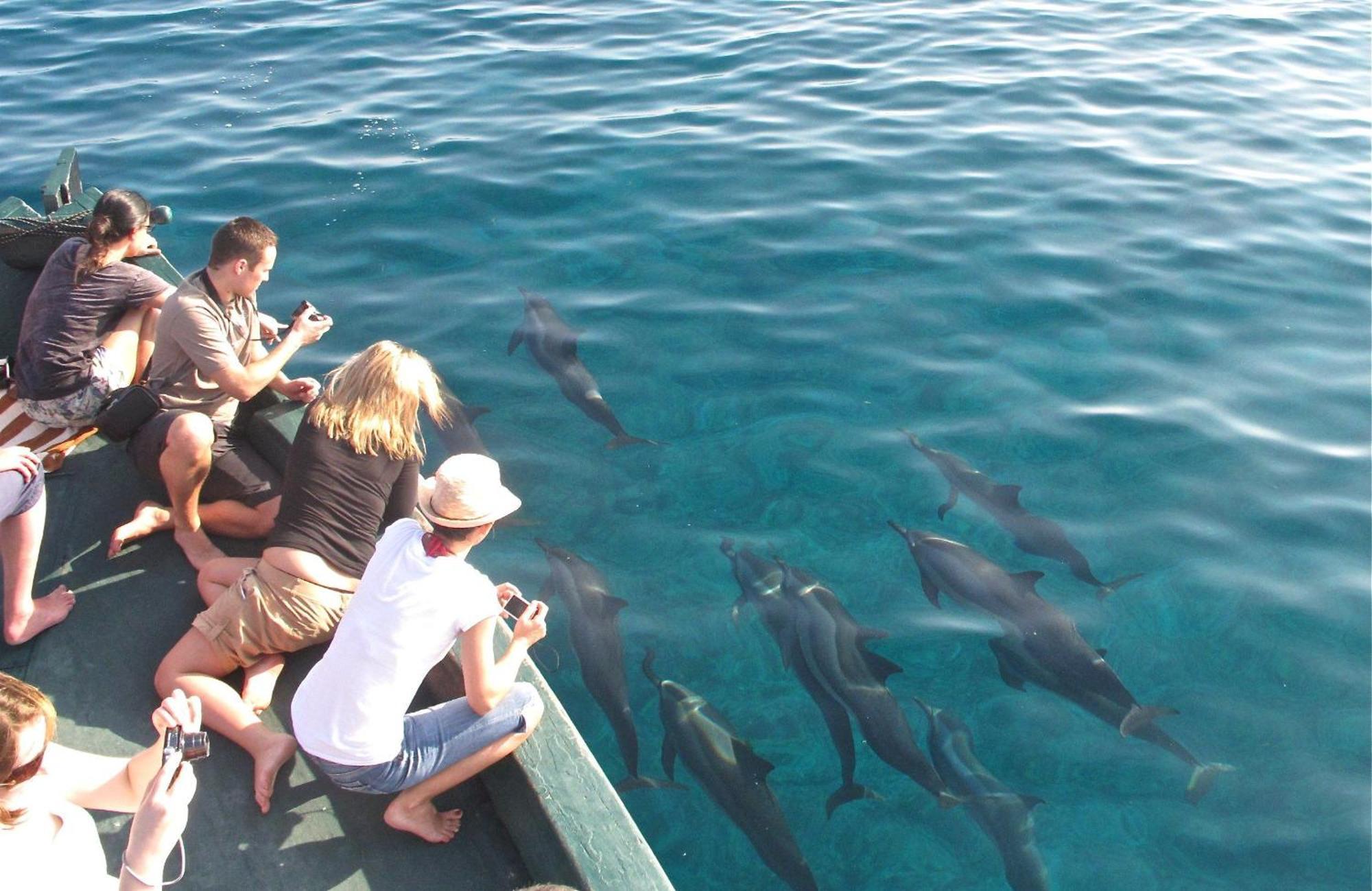 บลูเวฟ เกสต์เฮาส์ มัลดีฟส์ Kudahuvadhoo ภายนอก รูปภาพ